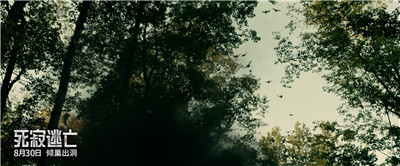 飞天异兽笼罩树林.jpg